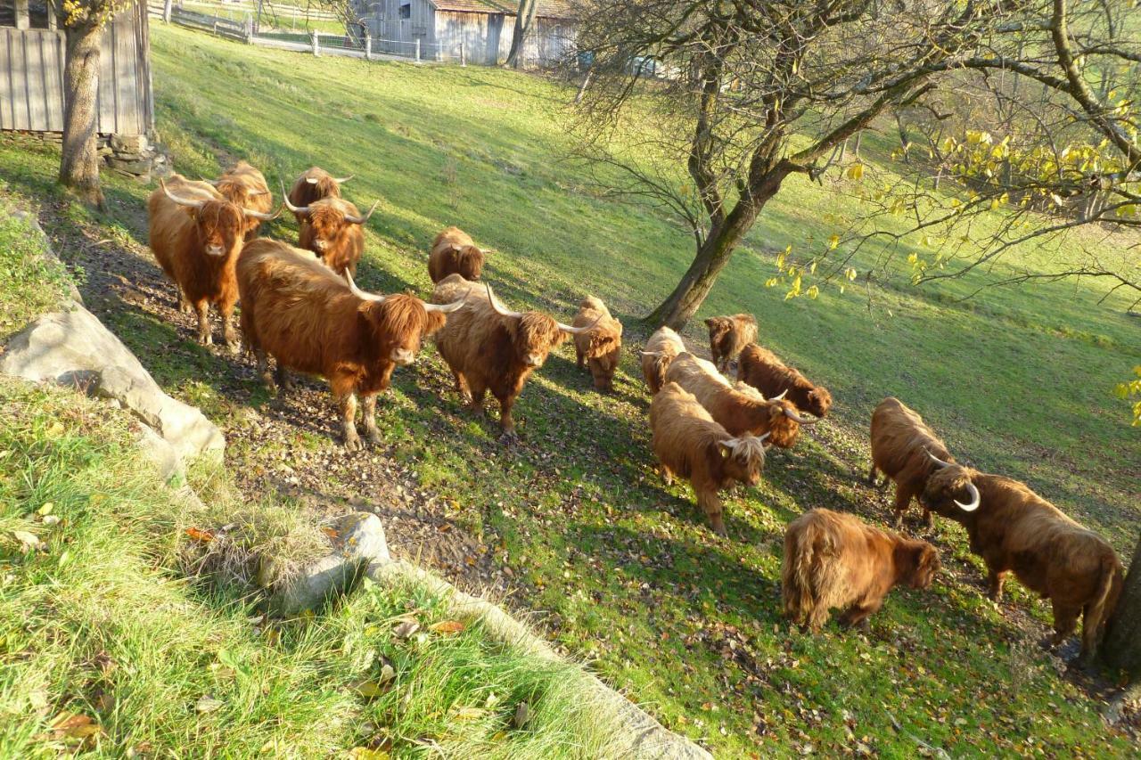 Dorferhof Villa Weistrach Kültér fotó