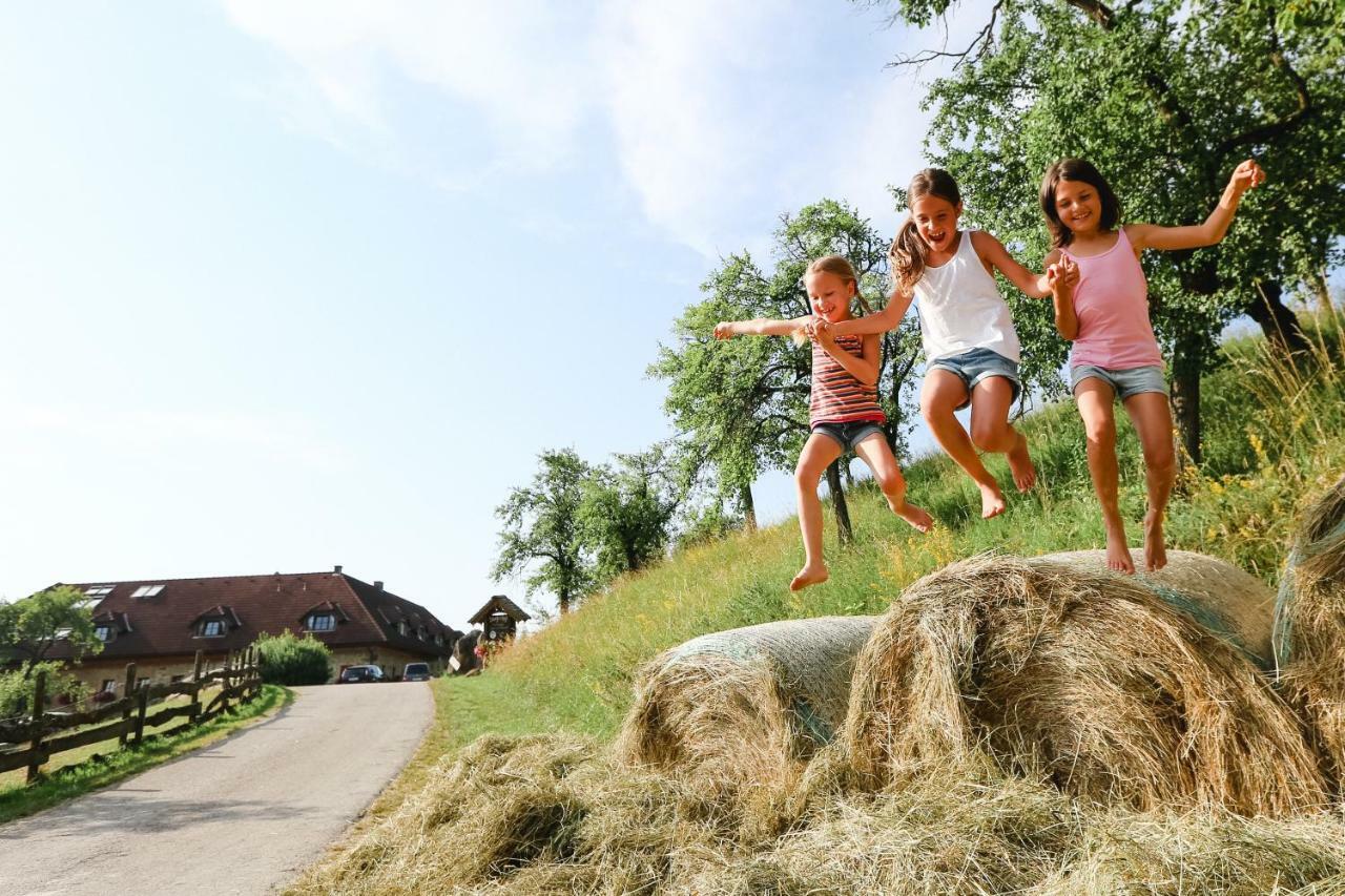 Dorferhof Villa Weistrach Kültér fotó